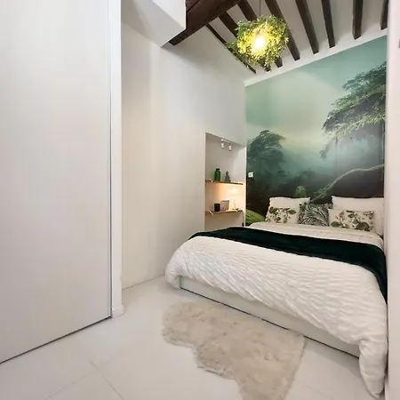 Le Cosy Safranier Vieil Apartman