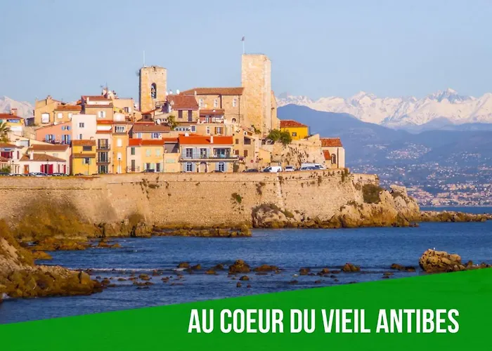 Le Cosy Safranier Vieil Apartment *