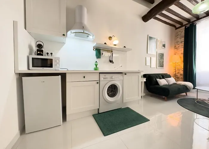 Le Cosy Safranier Vieil Appartamento